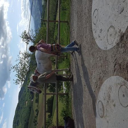 Agriturismo Corte Del Gallo Rivergaro Εξωτερικό φωτογραφία