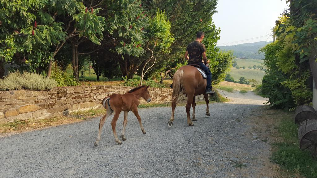 Agriturismo Corte Del Gallo Rivergaro Εξωτερικό φωτογραφία
