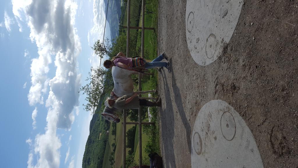 Agriturismo Corte Del Gallo Rivergaro Εξωτερικό φωτογραφία